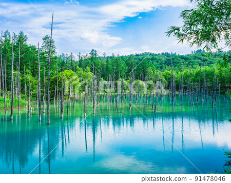 Blue Pond Biei 91478046