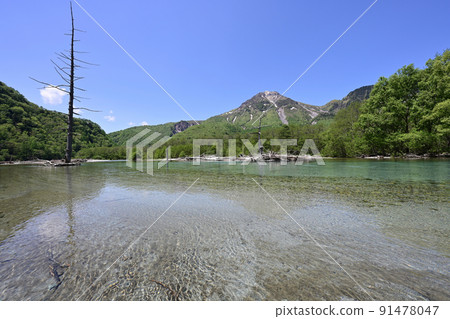 Enjoy the longed-for Kamikochi while watching the beautiful young leaves of the fresh green, blown by the white clouds in the blue sky and the refreshing June breeze. 91478047