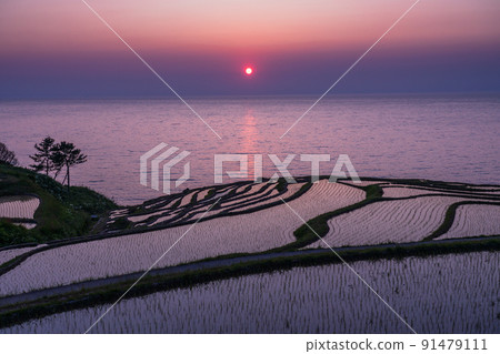 《石川縣》能登名勝，白米千舞田的夕陽 91479111
