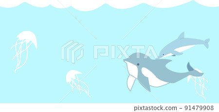 Cool dolphin and jellyfish background material. Cool dolphin and jellyfish background material. 91479908