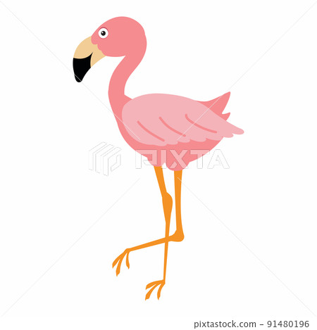 Cute pink flamingo on a white background Cute pink flamingo on a white background 91480196