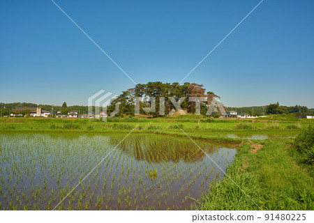 鄉村景觀 鄉村景觀 91480225