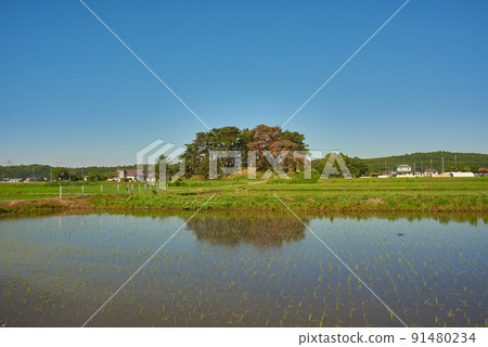 Rural landscape Rural landscape 91480234