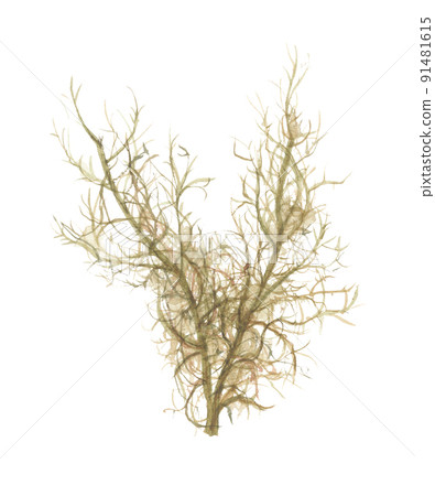 Ishimozuku Ishimozuku 91481615