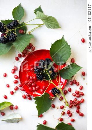tasty Gumi berries and blackberries on a red plate, top view tasty Gumi berries and blackberries on a red plate, top view 91482117
