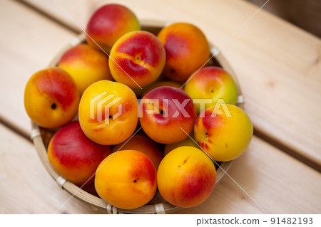 Minami Takane李子 Minami Takane李子 91482193