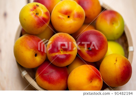 Minami Takane李子 91482194