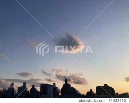 東京的暮光之城 東京的暮光之城 91482320