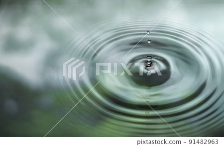 Water is dripping on the surface of the water in the rainforest. With the reflection of the green leaves 91482963