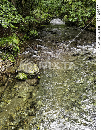 River Lyd - Lydford Gorge, Dartmoor Park, UK 91484665