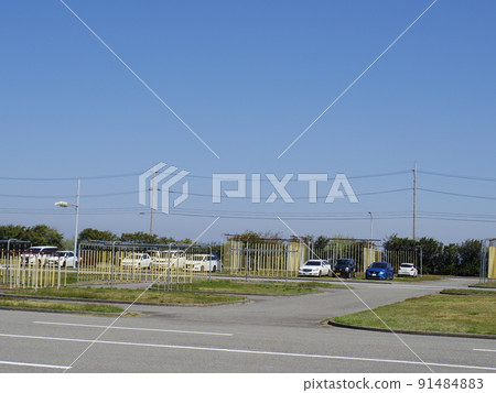 Driving school (image) 91484883