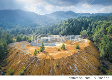 Pine trees growing over copper and gold mine tailings in Paphos forest, Cyprus. Restoration of abandoned mine site Pine trees growing over copper and gold mine tailings in Paphos forest, Cyprus. Restoration of abandoned mine site 91485536