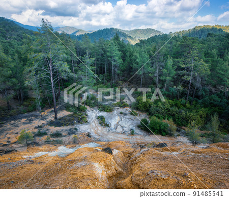 Forest polluted with chemicals from abandoned pyrite mine Forest polluted with chemicals from abandoned pyrite mine 91485541