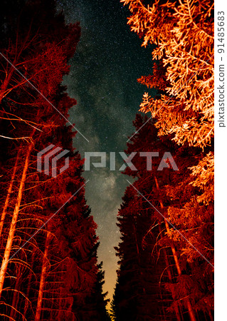Milky Way Emerging between the Trees of a forrest illuminated from the backlights of a car 91485683