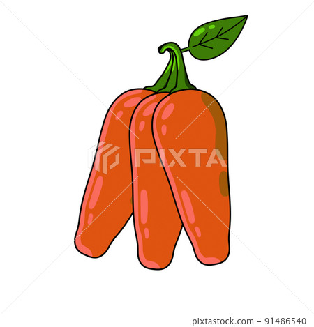 Hot red pepper. Mexican spice. Outline cartoon isolated on white Hot red pepper. Mexican spice. Outline cartoon isolated on white 91486540