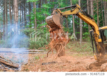 Land that is being prepared for building housing development of tractor or skid steer clearing land from roots 91487119