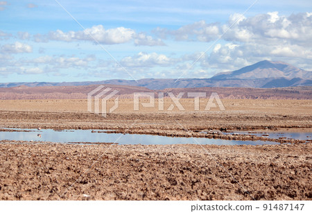 Atacama Desert_San Pedro de Atacama_Salt Lake_Flamingo 91487147