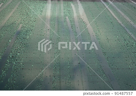 水滴的面部表情 水滴的面部表情 91487557