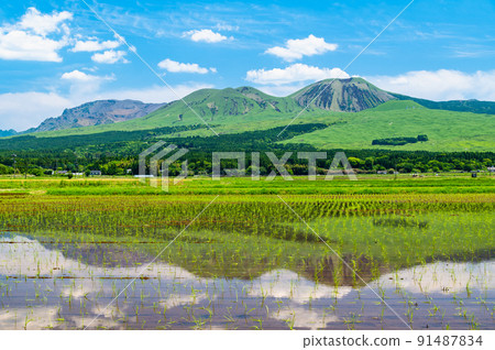熊本縣阿蘇市阿蘇山-稻田映照的阿蘇山- 91487834
