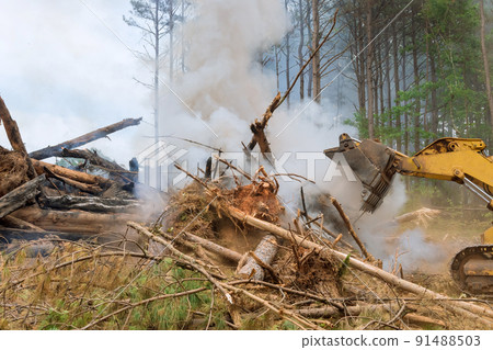 In preparation for building new houses, the uprooted forest for was burned In preparation for building new houses, the uprooted forest for was burned 91488503
