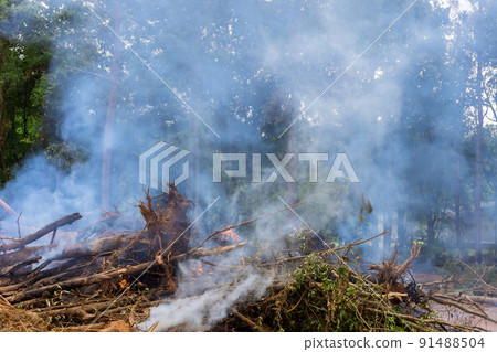 Preparation of the land for the construction of houses and burning of uprooted forests Preparation of the land for the construction of houses and burning of uprooted forests 91488504