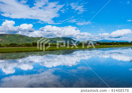 Summer sky reflected in the paddy field that stayed just filled with water [Hotaka, Azumino City] 91488578