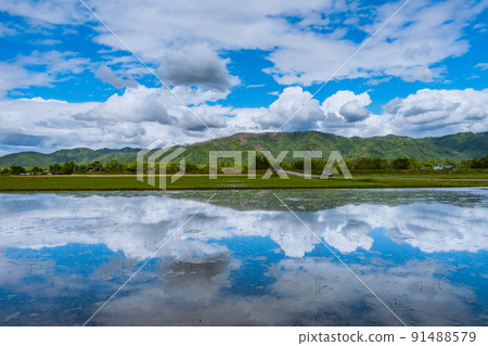 Summer sky reflected in the paddy field that stayed just filled with water [Hotaka, Azumino City] 91488579