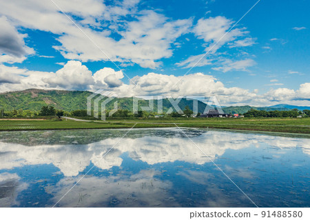 Summer sky reflected in the paddy field that stayed just filled with water [Hotaka, Azumino City] 91488580