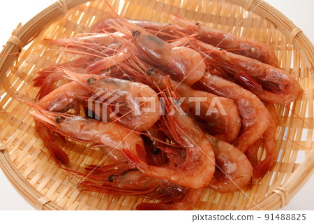 Hokkaido sweet shrimp Hokkaido sweet shrimp 91488825