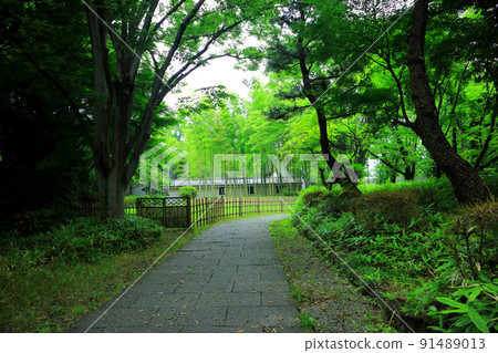 武藏押城 武藏押城 91489013