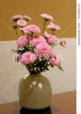 花瓶裡的粉紅色菊花 花瓶裡的粉紅色菊花 91489229