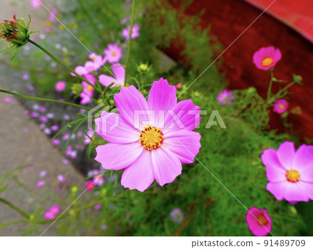 恰巧經過的宇宙 91489709