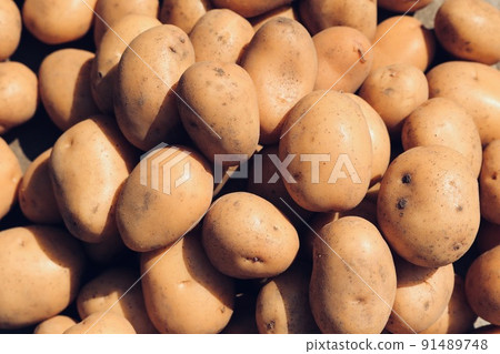 Inca Awakening Harvest Inca Awakening Harvest 91489748