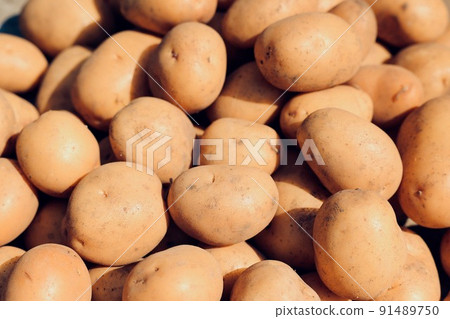 Inca Awakening Harvest Inca Awakening Harvest 91489750