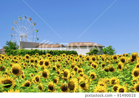 橫須賀市Soleil Hill 橫須賀市Soleil Hill 91490018