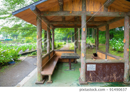 鳶尾花園,從 Azumaya 看,雨季,圓山公園 鳶尾花園,從 Azumaya 看,雨季,圓山公園 91490637