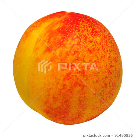 成熟的桃子 成熟的桃子 91490836