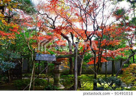 Autumn leaves of the former Saito family villa (Niigata Prefecture) Autumn leaves of the former Saito family villa (Niigata Prefecture) 91491018