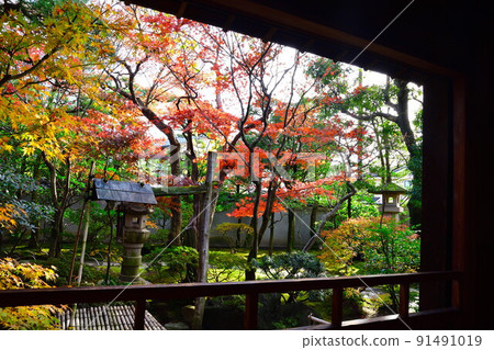 Autumn leaves of the former Saito family villa (Niigata Prefecture) Autumn leaves of the former Saito family villa (Niigata Prefecture) 91491019