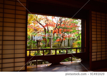 Autumn leaves of the former Saito family villa (Niigata Prefecture) 91491020