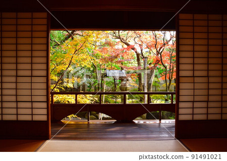 Autumn leaves of the former Saito family villa (Niigata Prefecture) Autumn leaves of the former Saito family villa (Niigata Prefecture) 91491021