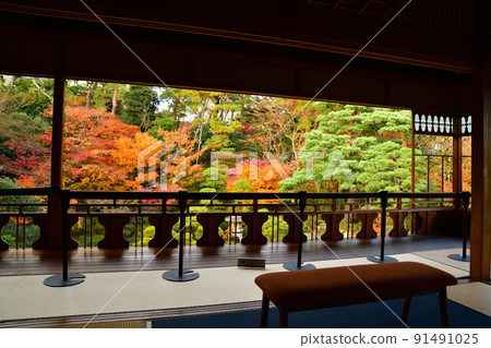 舊齋藤家別墅的紅葉(新潟縣) 舊齋藤家別墅的紅葉(新潟縣) 91491025