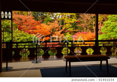 舊齋藤家別墅的紅葉(新潟縣) 舊齋藤家別墅的紅葉(新潟縣) 91491034