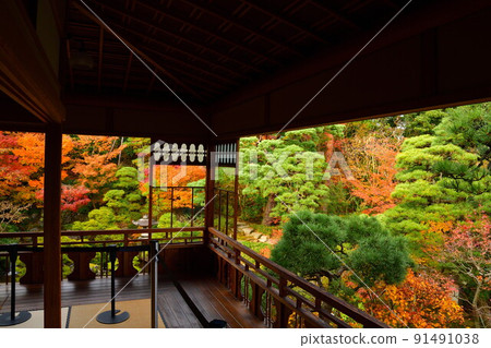 Autumn leaves of the former Saito family villa (Niigata Prefecture) 91491038