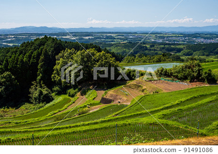 初夏藍天白雲田園風光 91491086