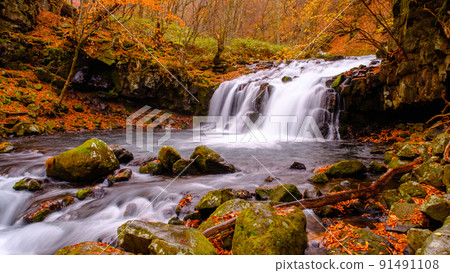 Tateshina Otaki (Autumn) Tateshina Otaki (Autumn) 91491108