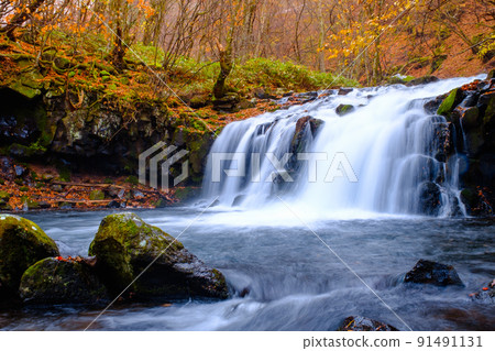 Tateshina Otaki (Autumn) Tateshina Otaki (Autumn) 91491131