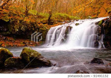 Tateshina Otaki (Autumn) Tateshina Otaki (Autumn) 91491132