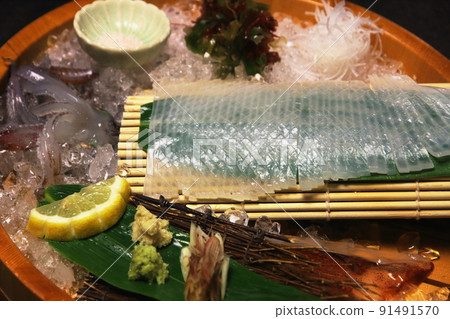 Kami's live squid Kami's live squid 91491570