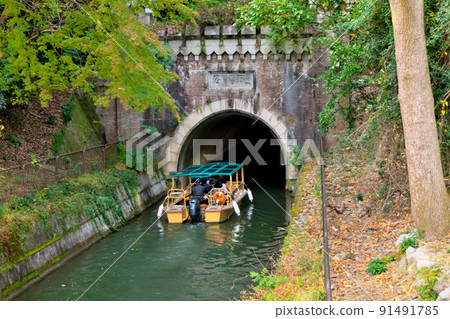 秋天的“琵琶湖水仙”即將進入最後的第三隧道 91491785